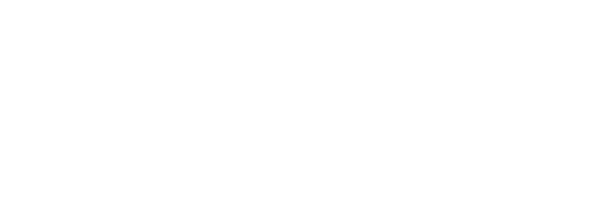 AUSDIN logo