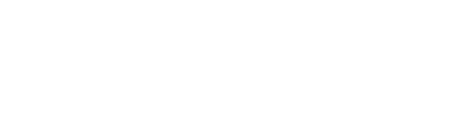 Q-CTRL logo